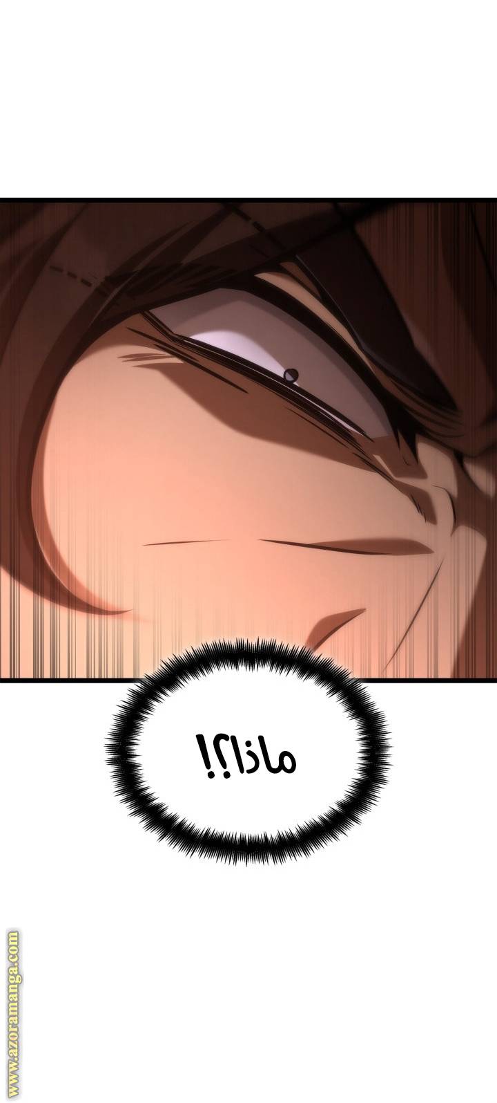 الصفحة 61