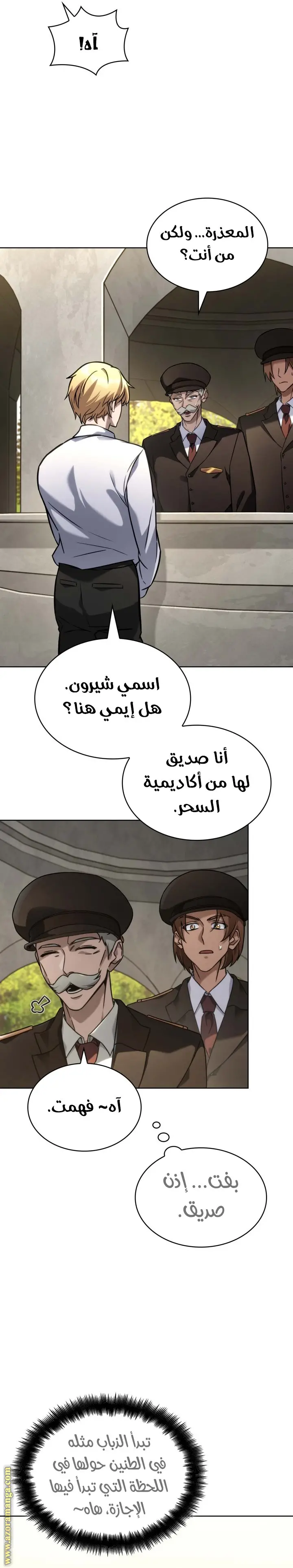 الصفحة 13