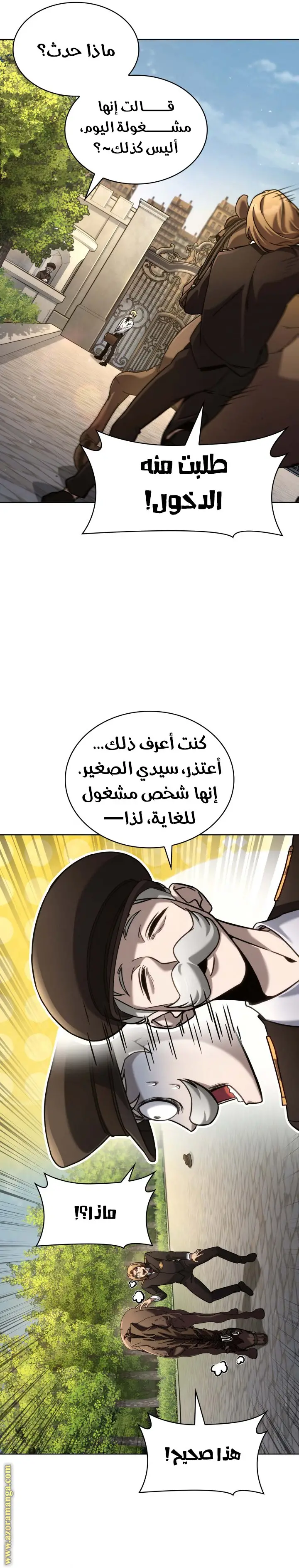 الصفحة 17