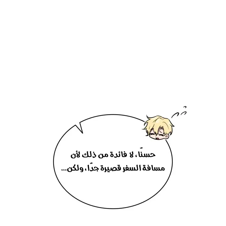 الصفحة 39