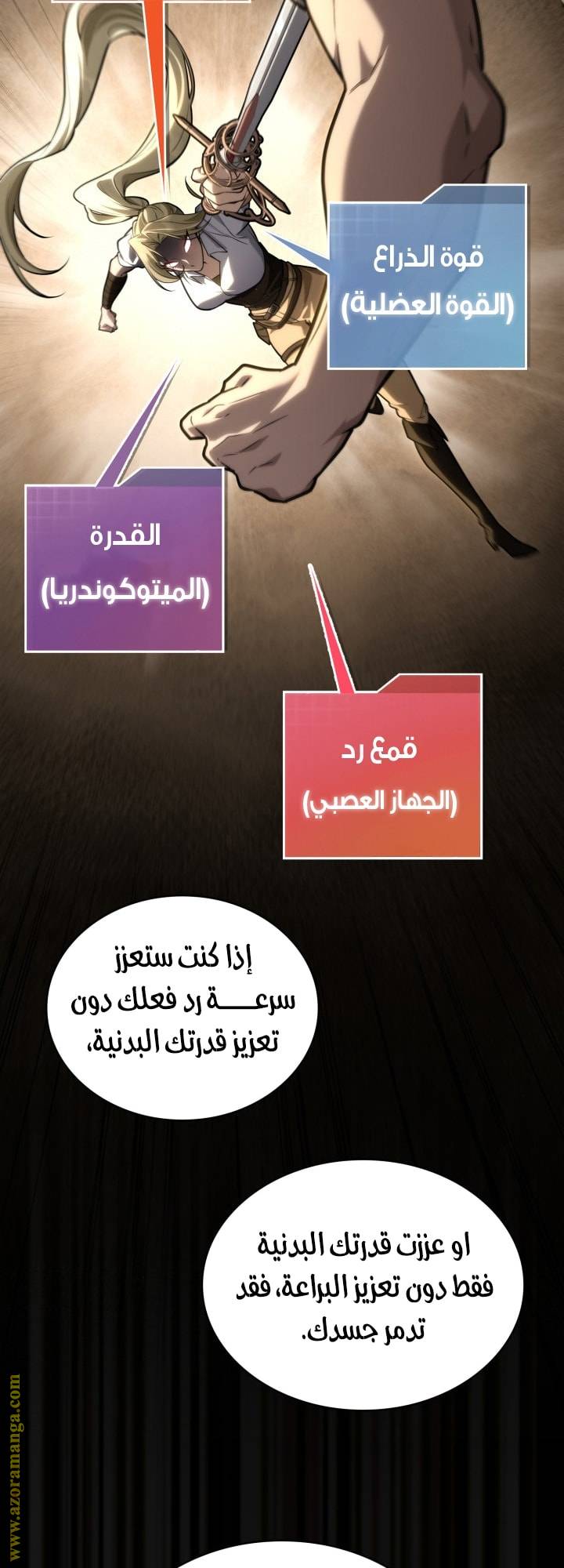الصفحة 56