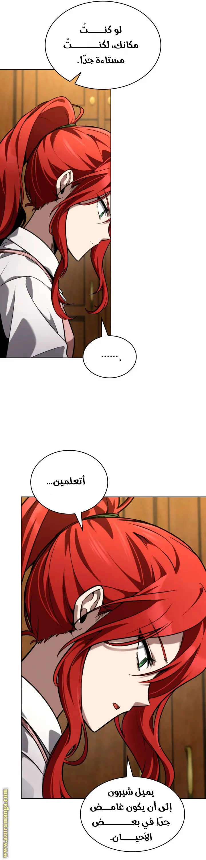 الصفحة 13