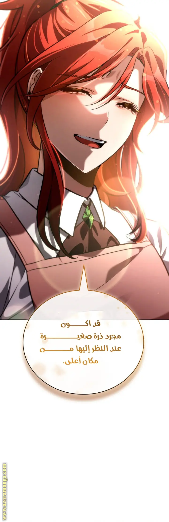 الصفحة 43