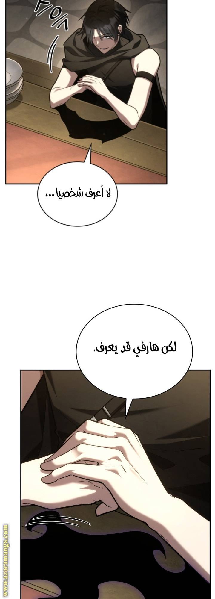 الصفحة 13