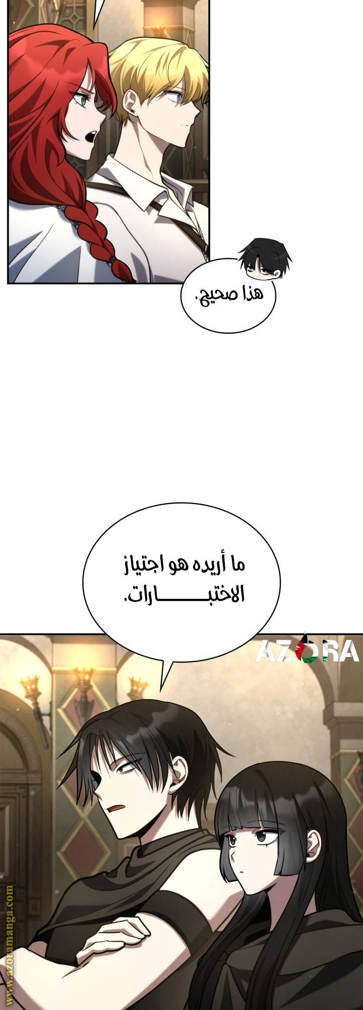 الصفحة 29