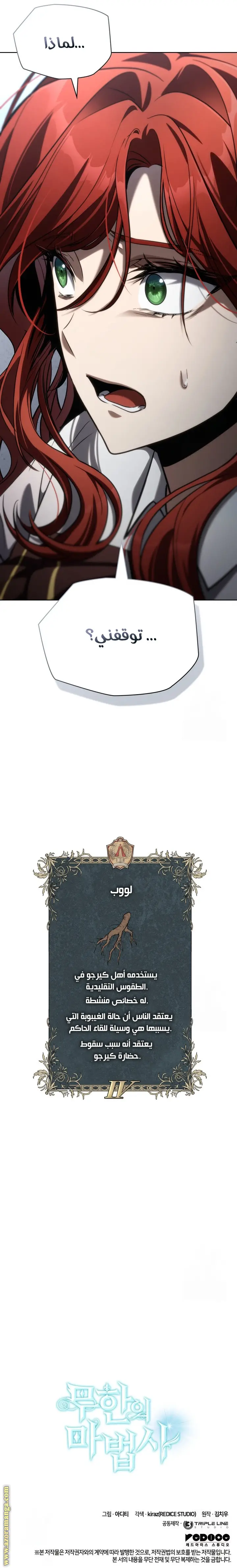 الصفحة 40