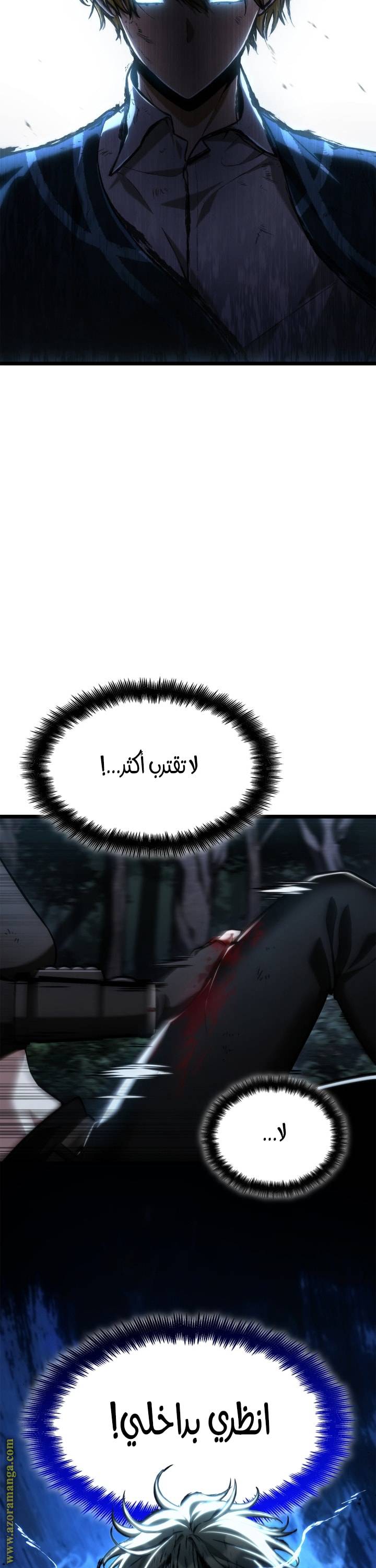 الصفحة 17