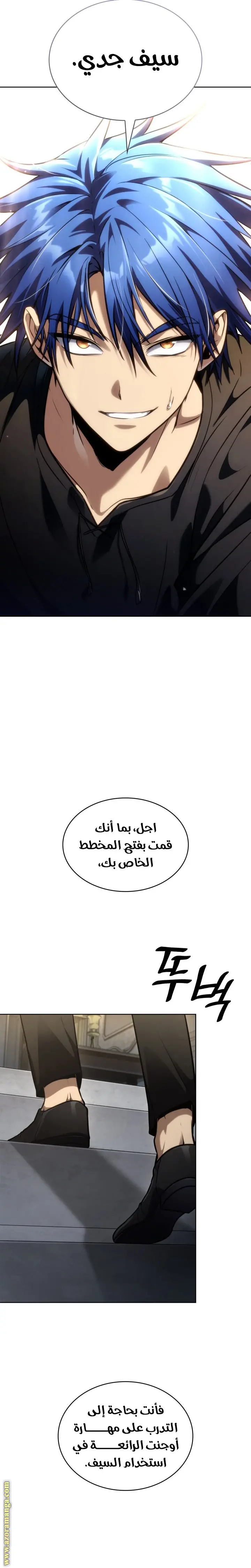 الصفحة 17