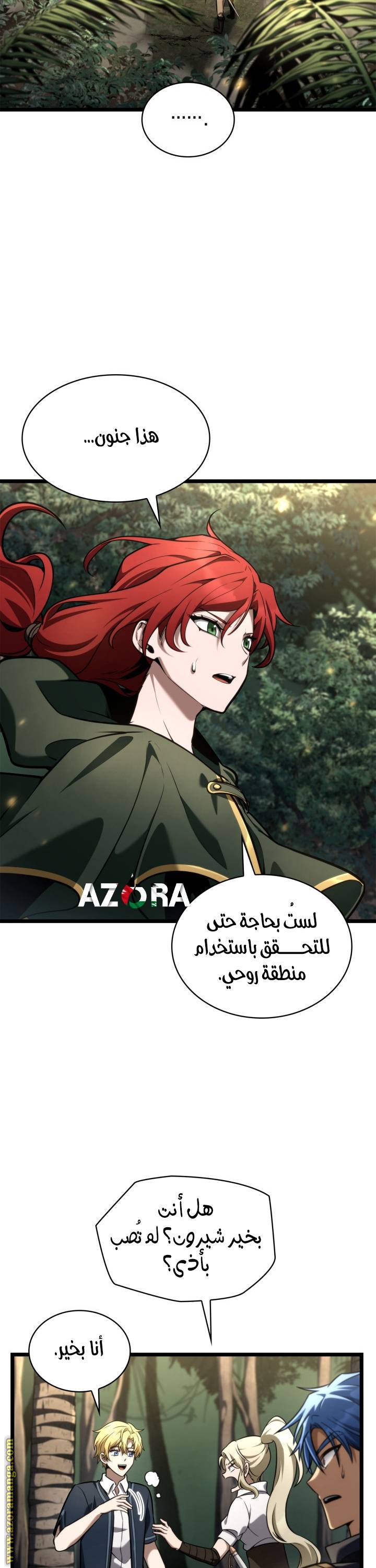 الصفحة 17
