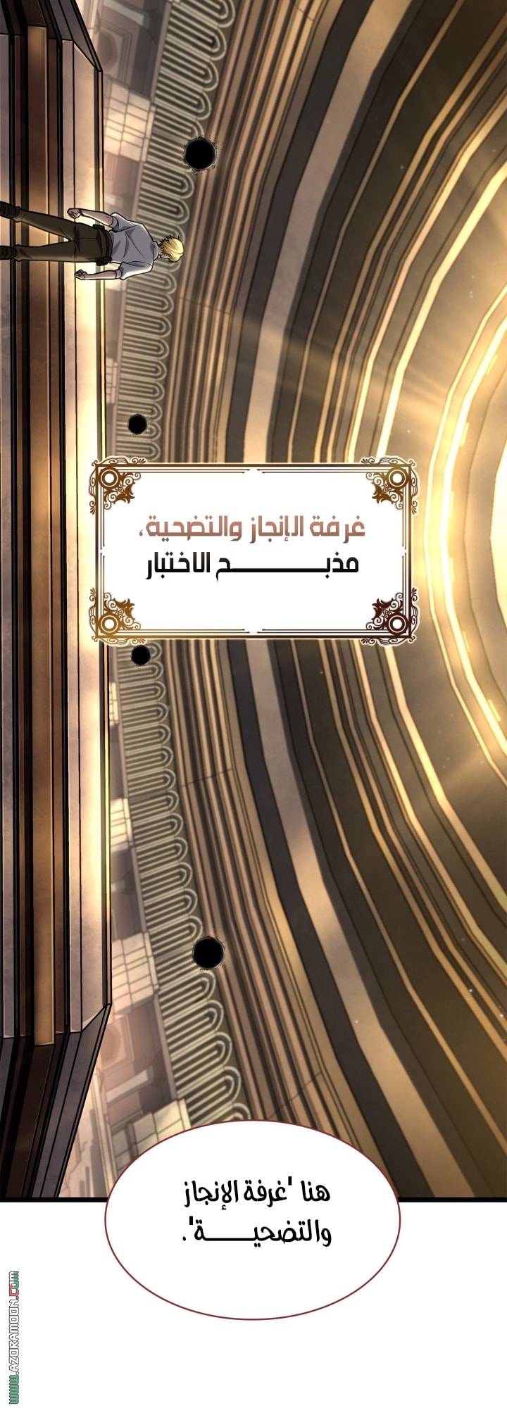 الصفحة 11