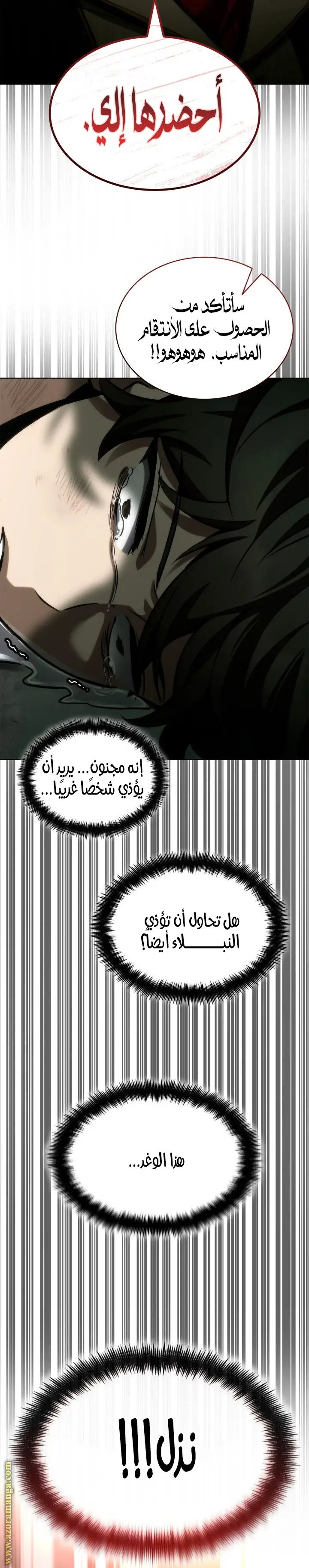 الصفحة 25