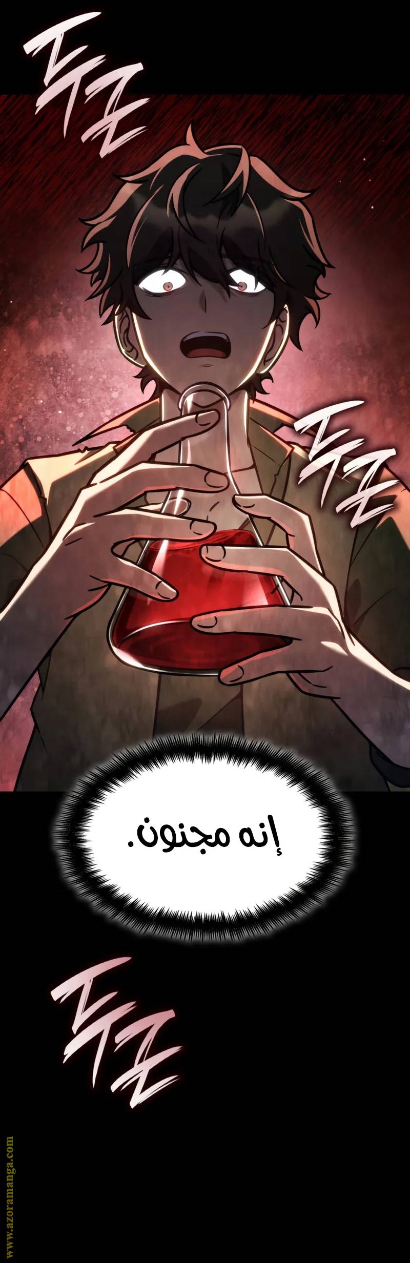 الصفحة 13