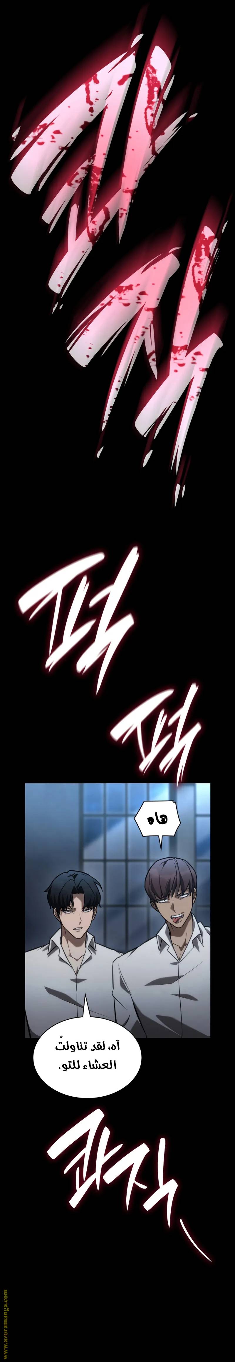 الصفحة 17