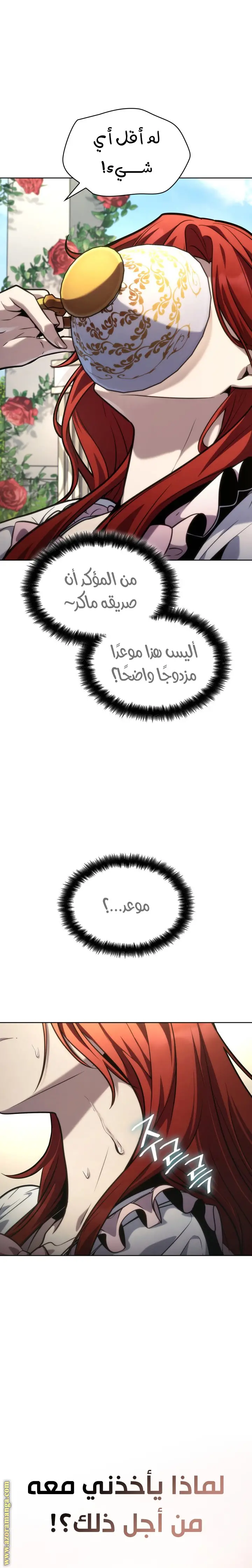 الصفحة 26