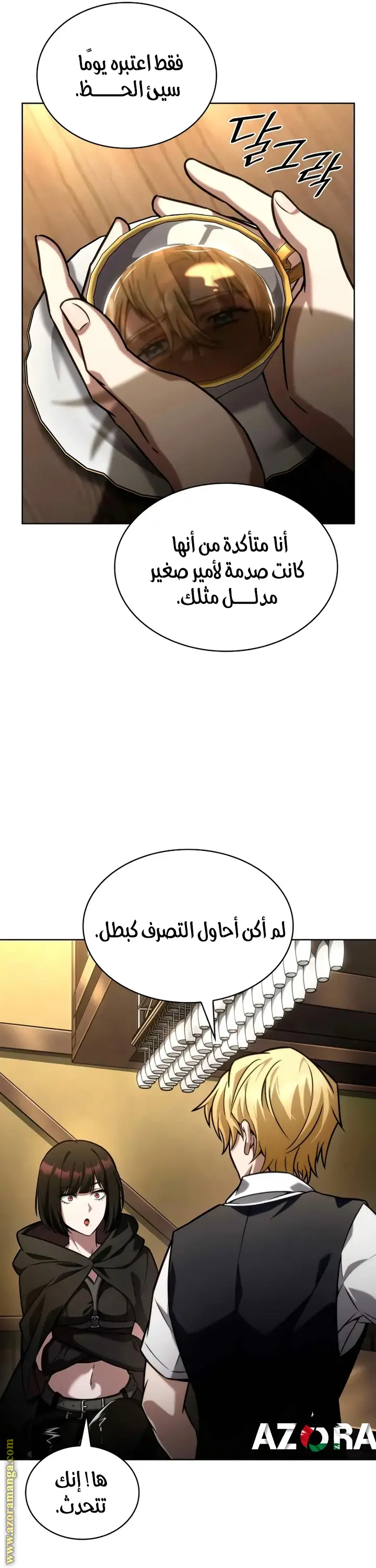 الصفحة 25
