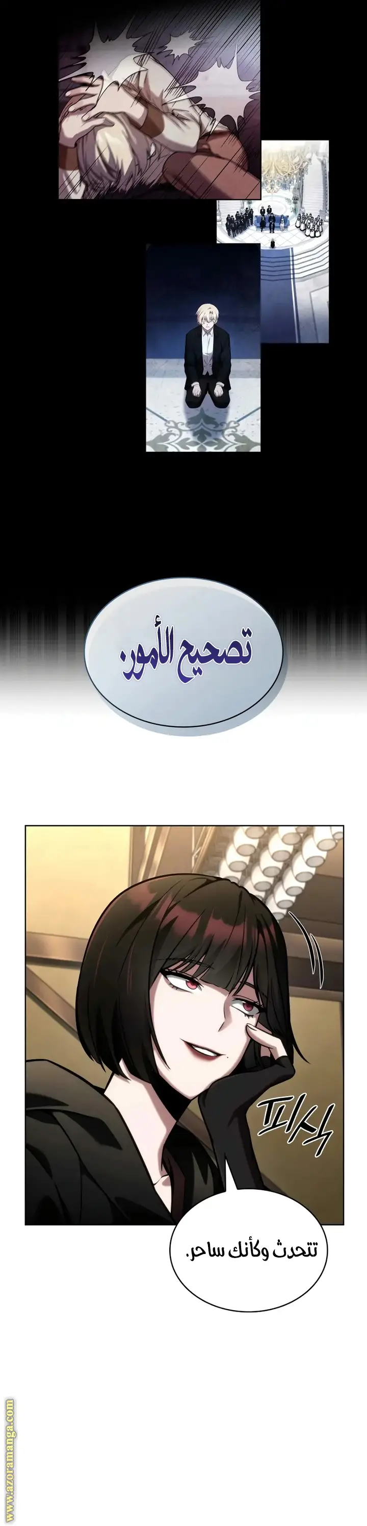 الصفحة 27