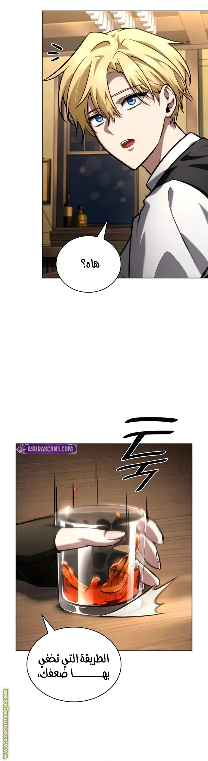الصفحة 29