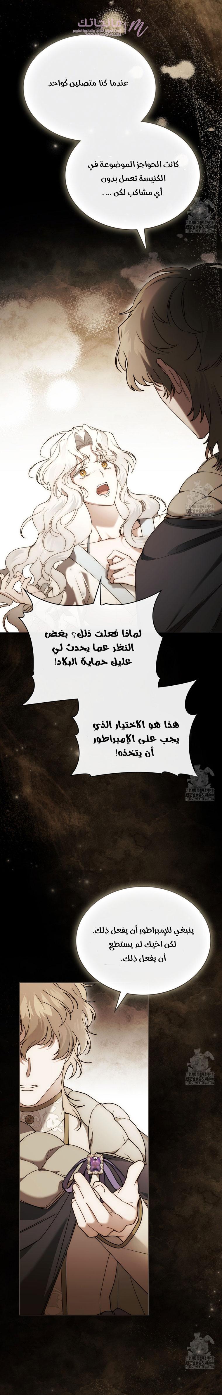 الصفحة 13