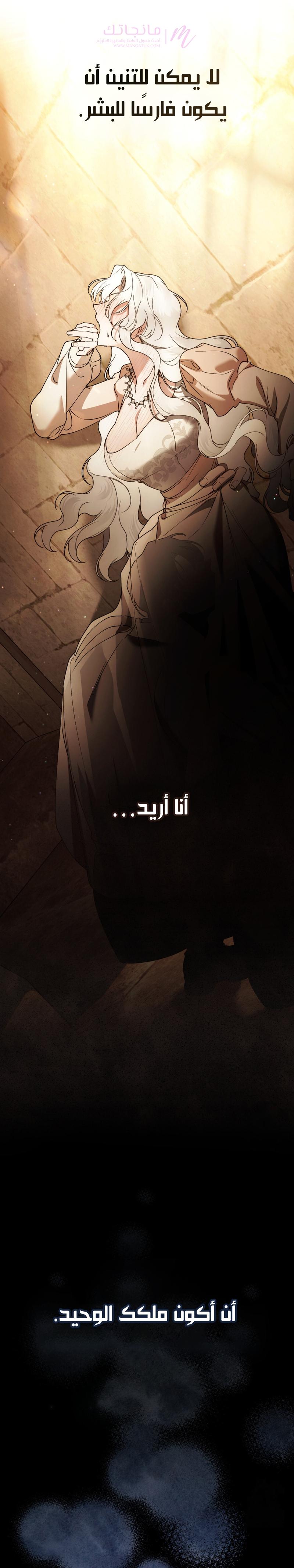 الصفحة 26