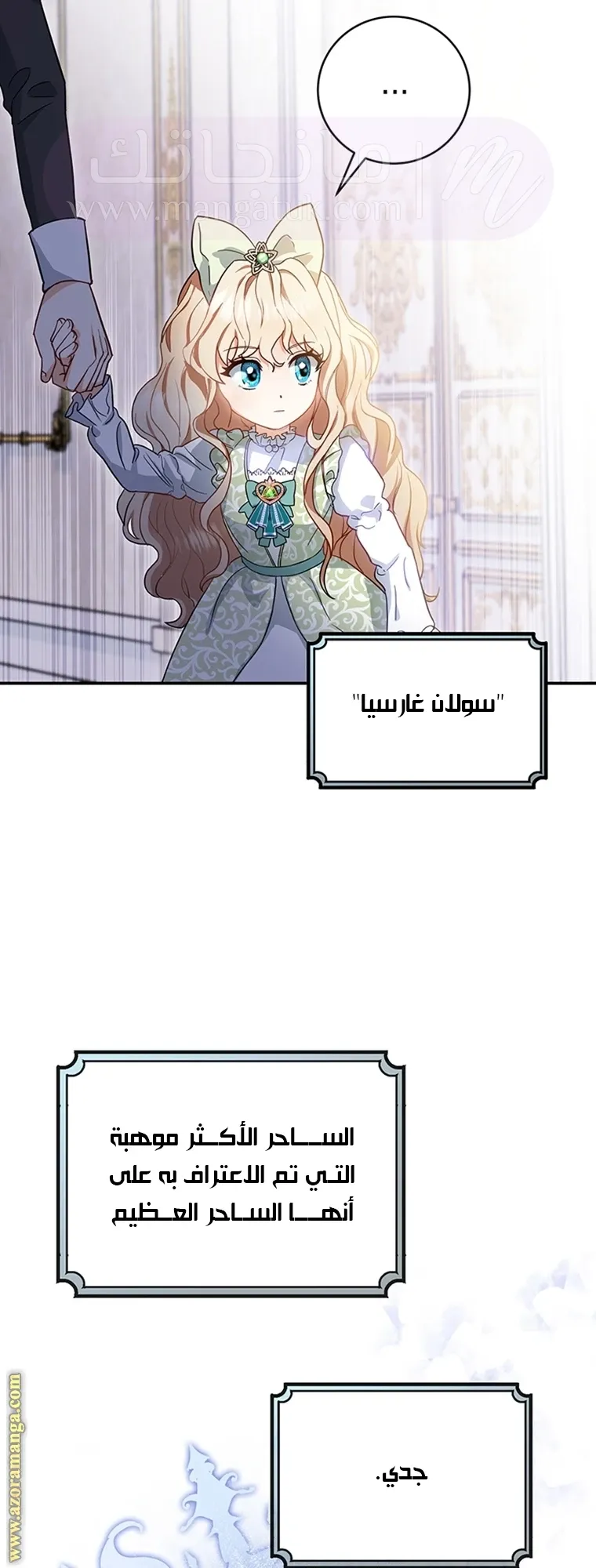 الصفحة 17