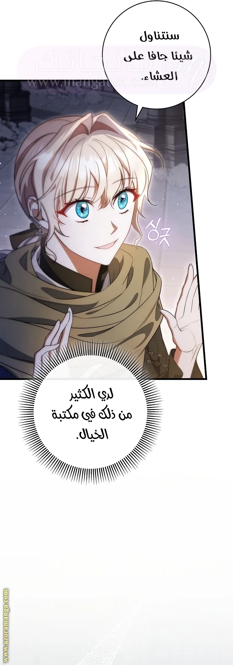 الصفحة 13