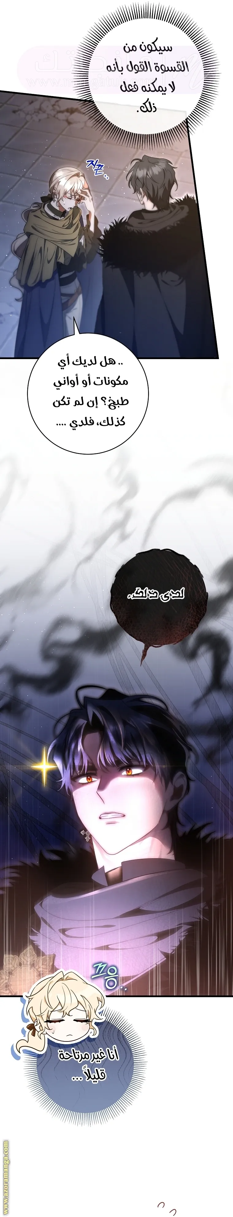 الصفحة 17