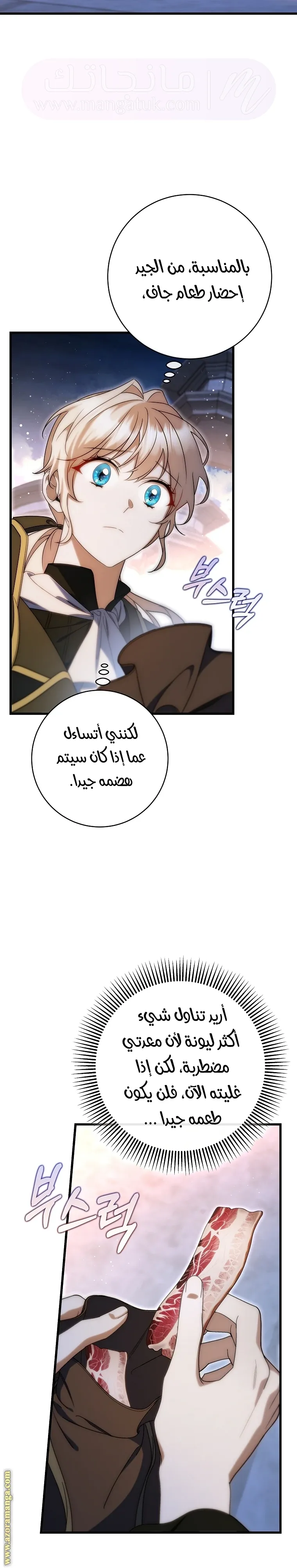 الصفحة 26