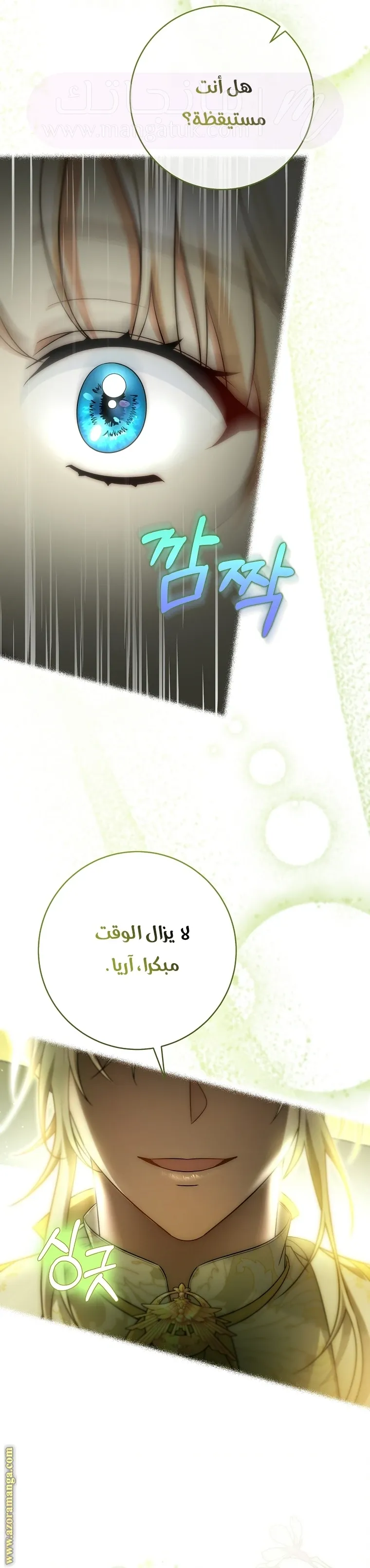 الصفحة 31
