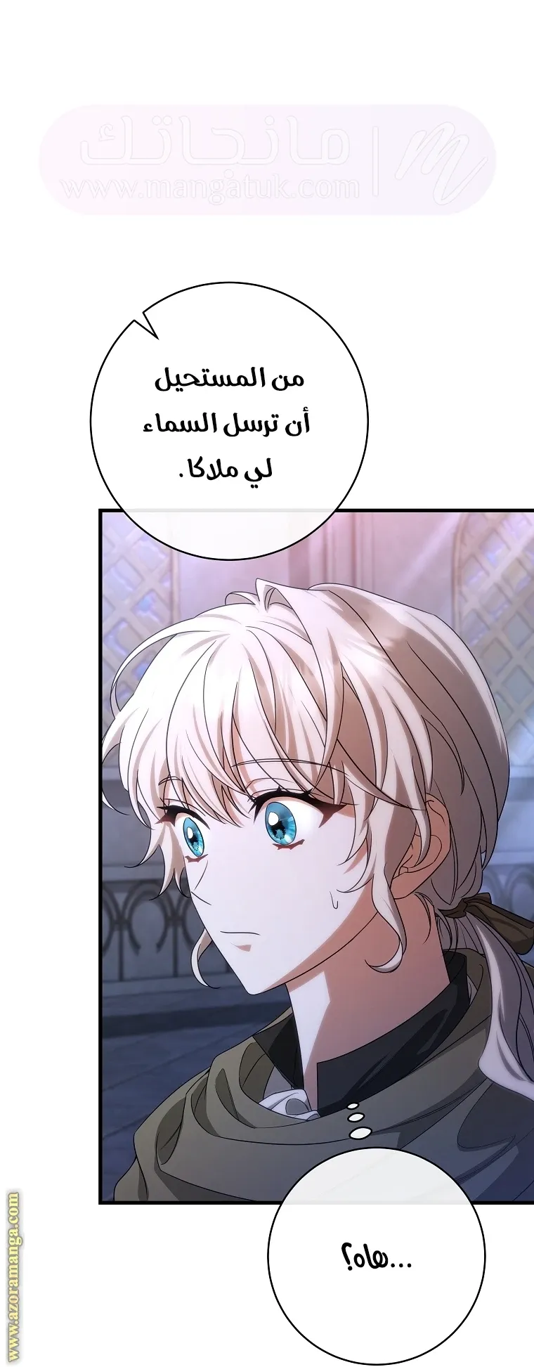 الصفحة 17