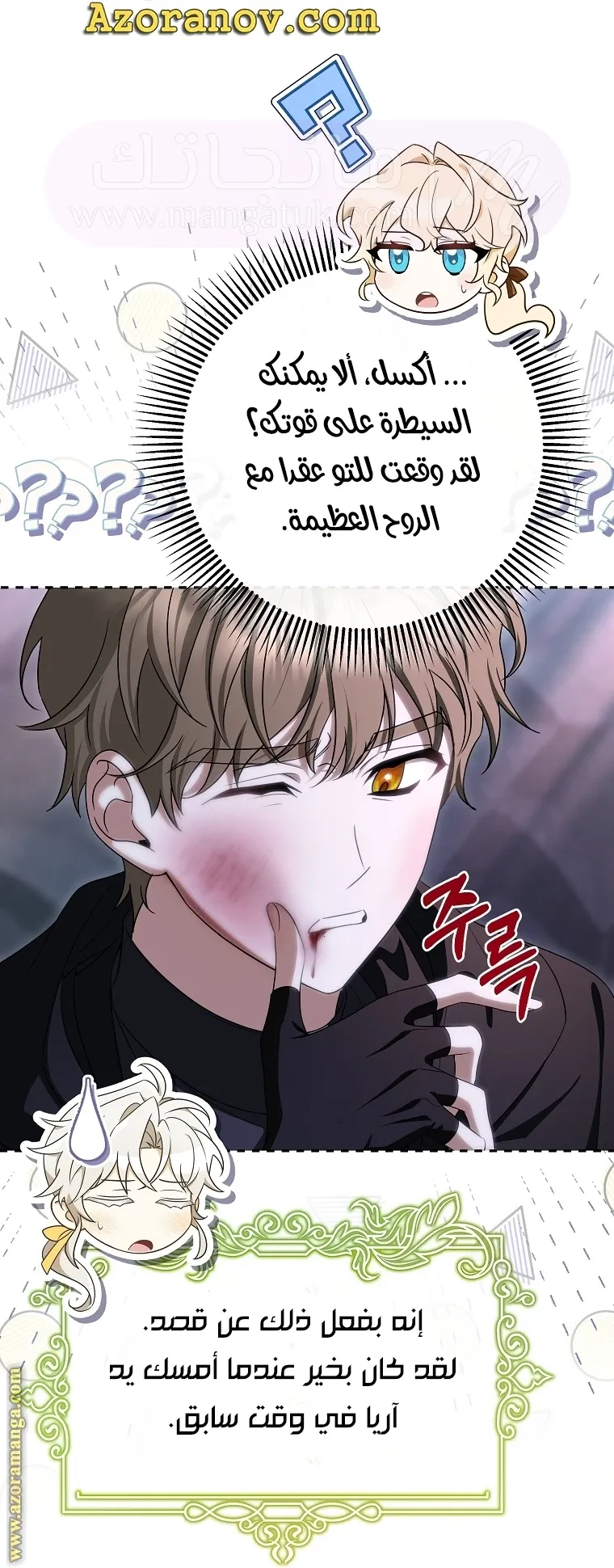 الصفحة 27