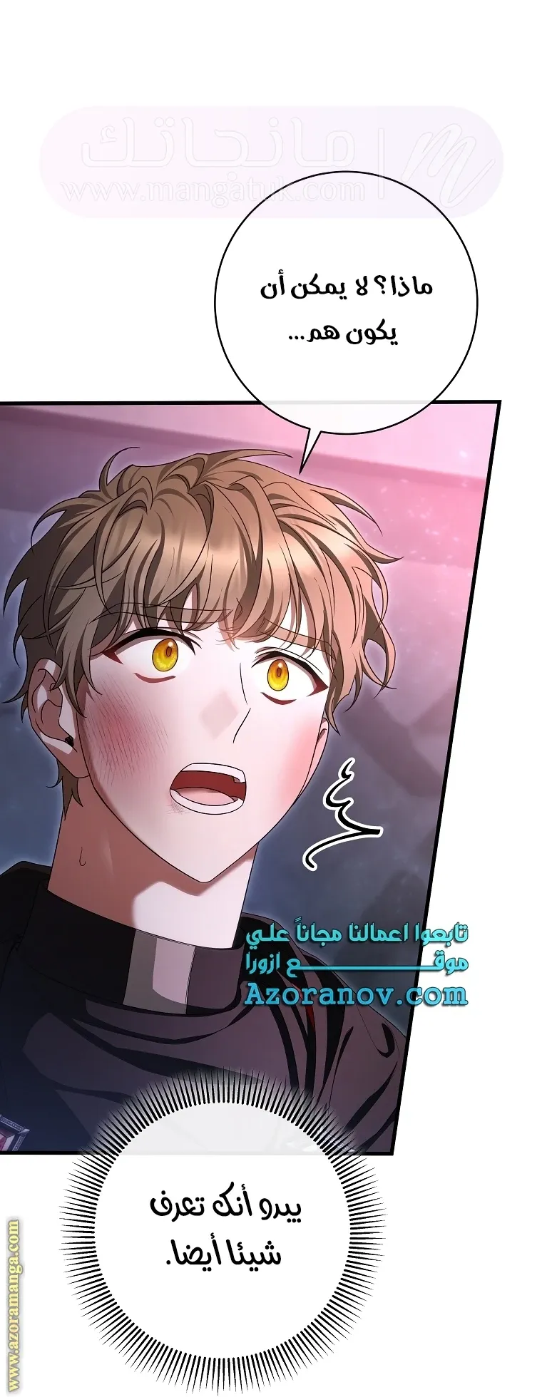 الصفحة 31