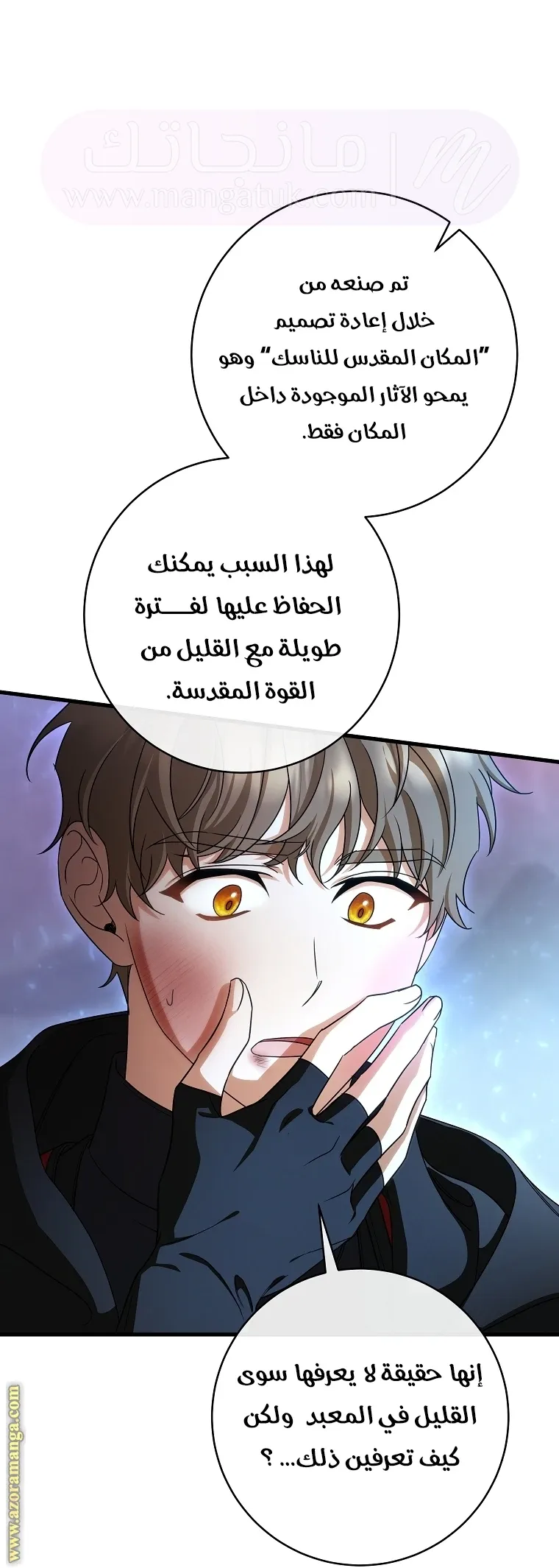 الصفحة 42