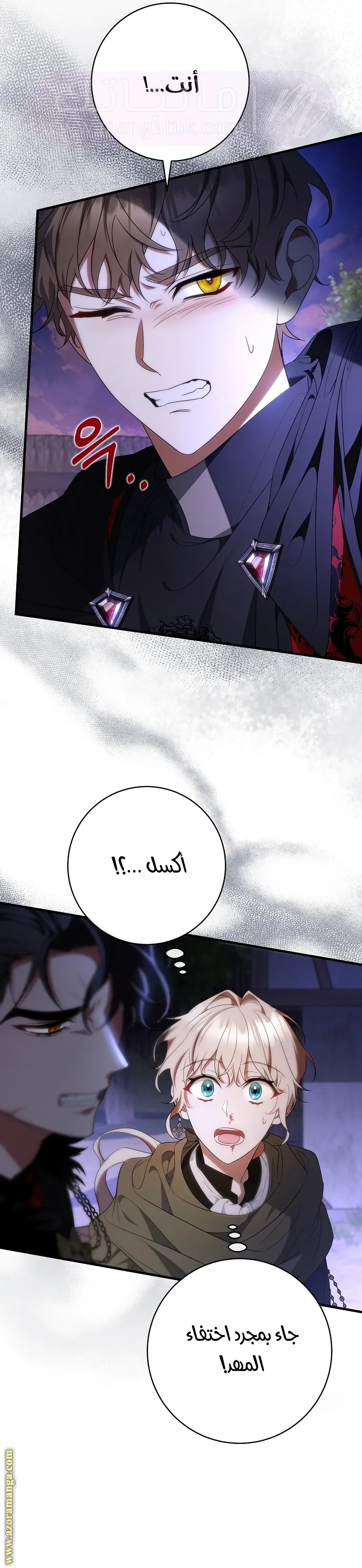 الصفحة 13