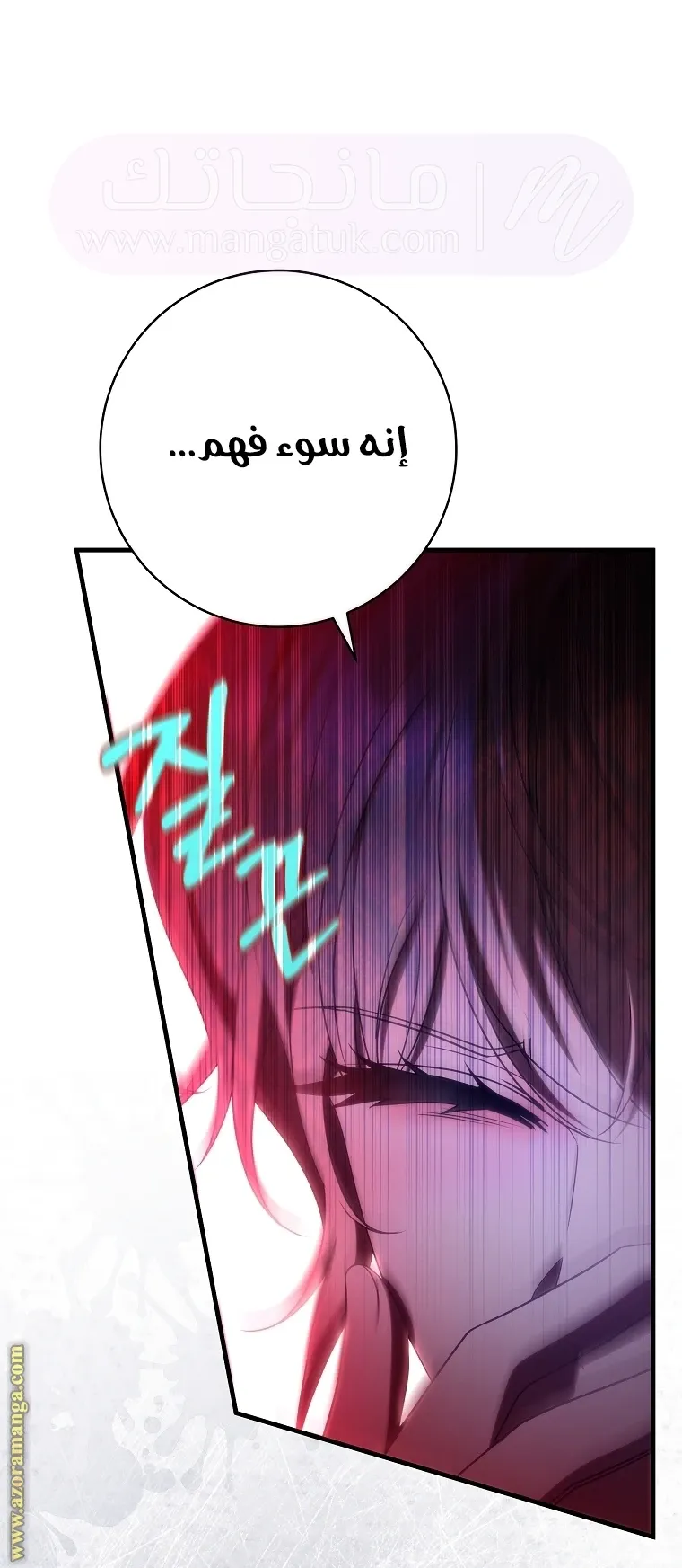 الصفحة 17