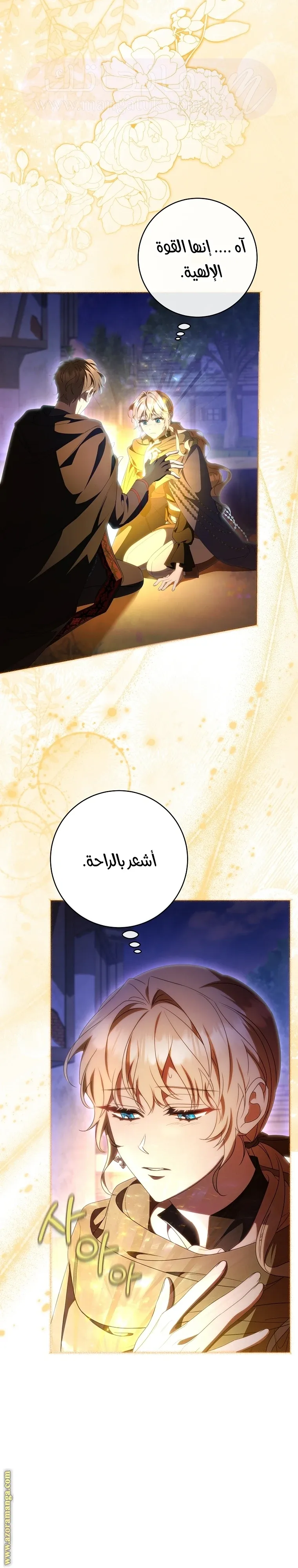 الصفحة 21