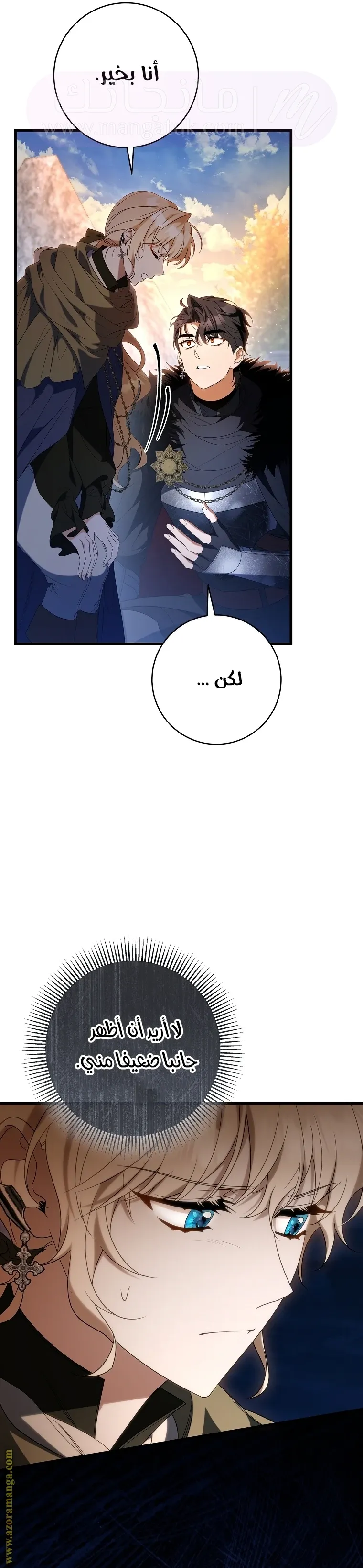 الصفحة 27