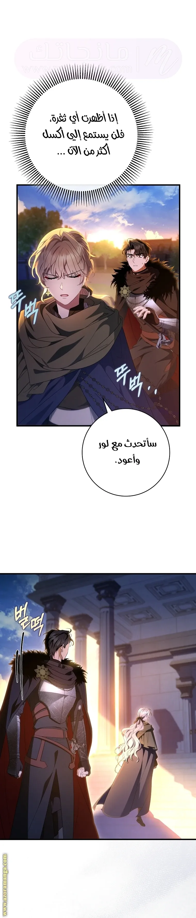 الصفحة 29