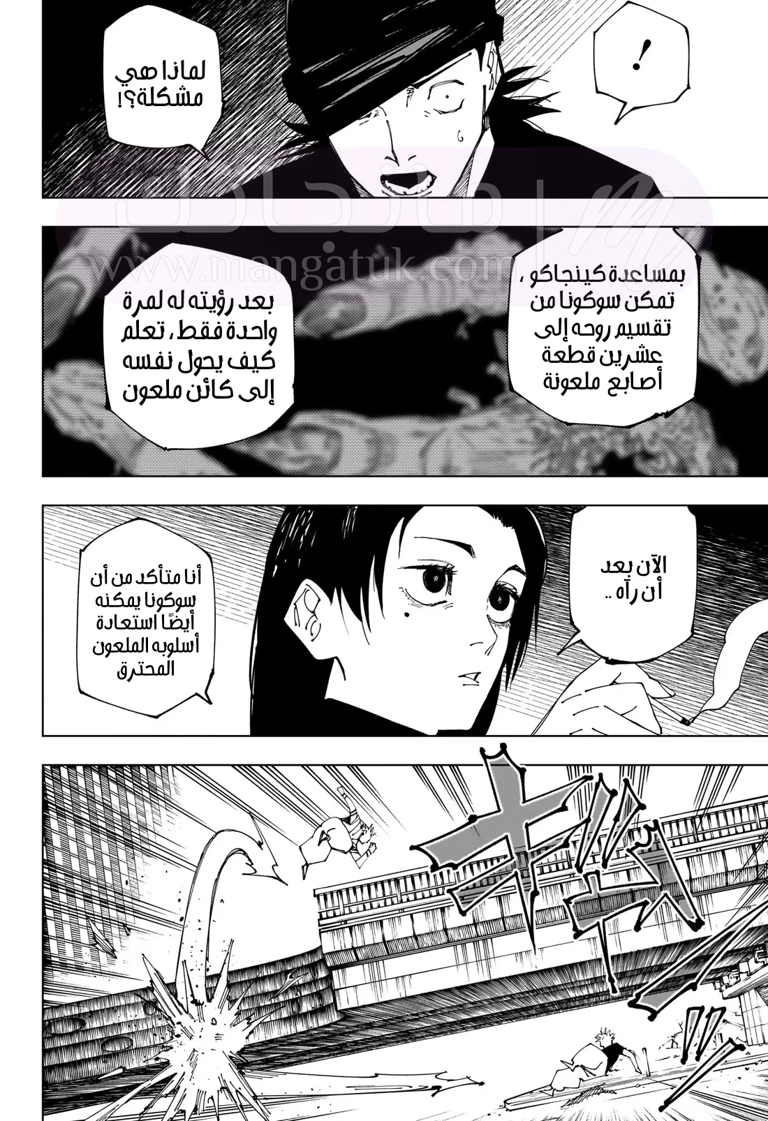 الصفحة 13