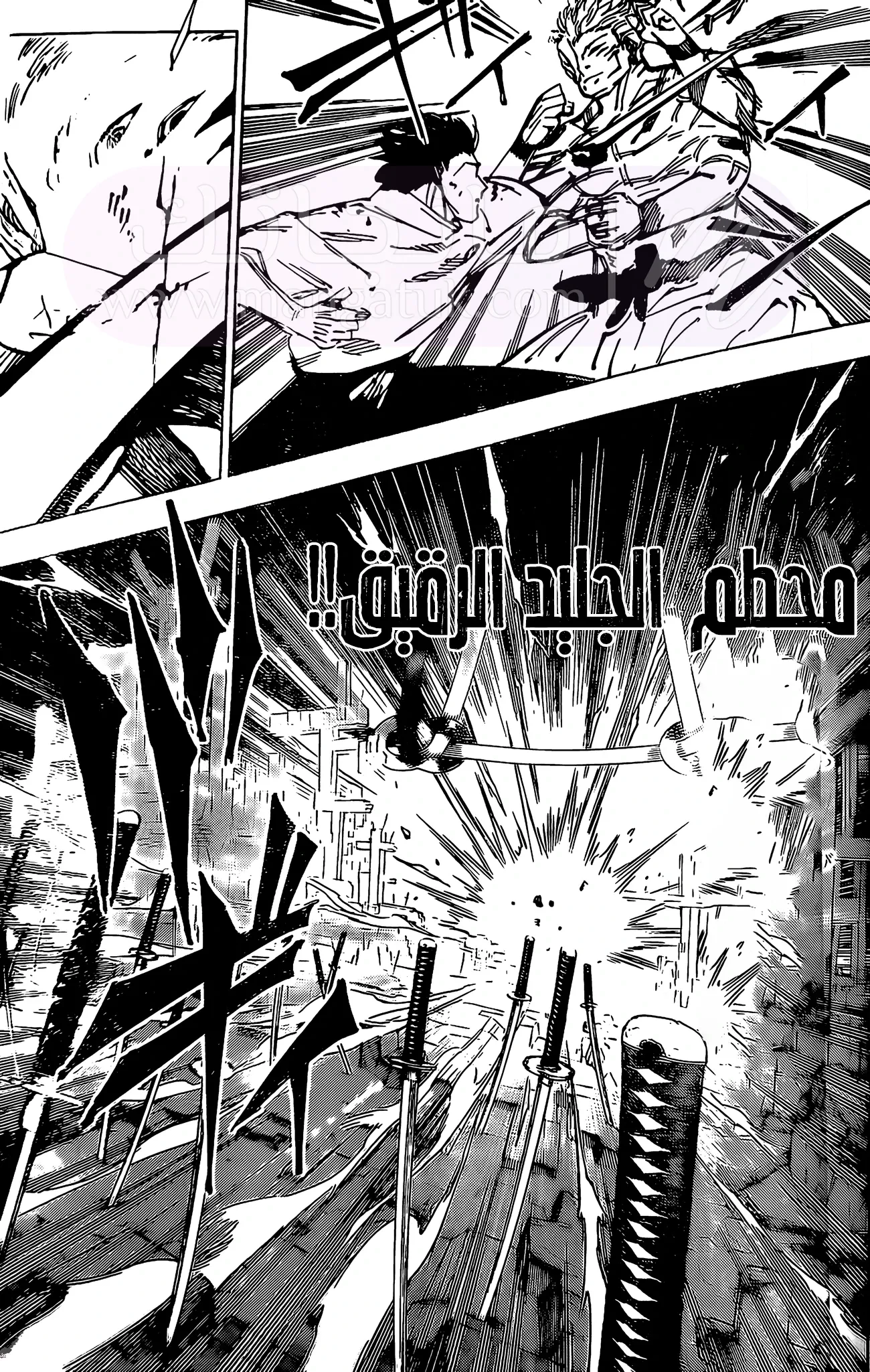الصفحة 17