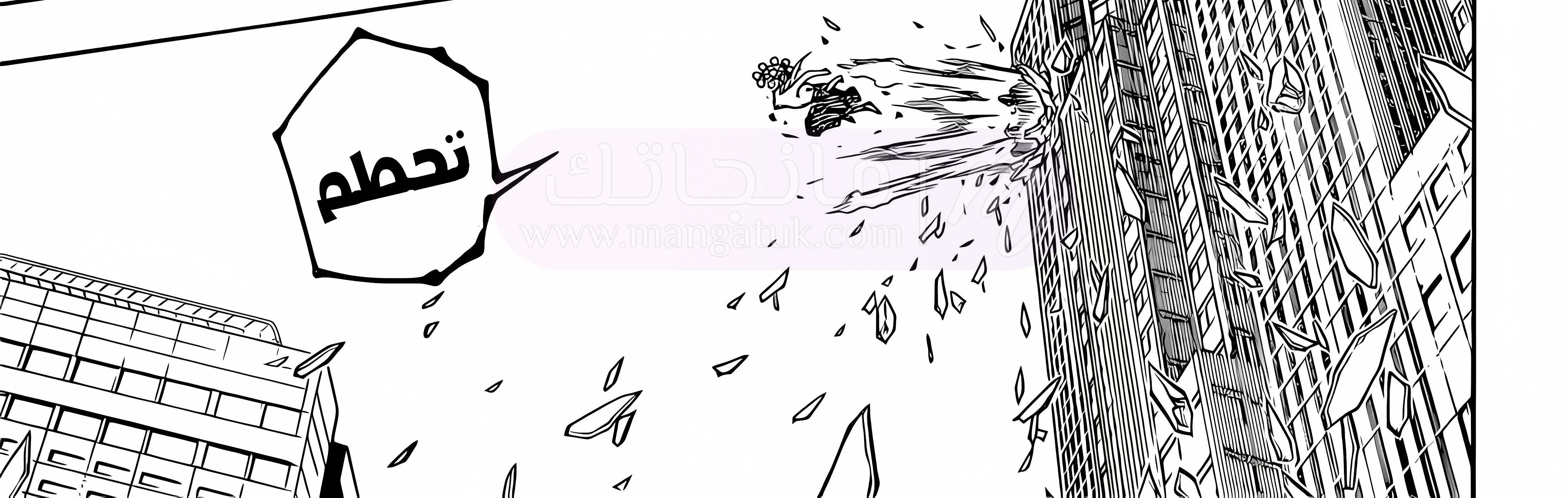 الصفحة 16