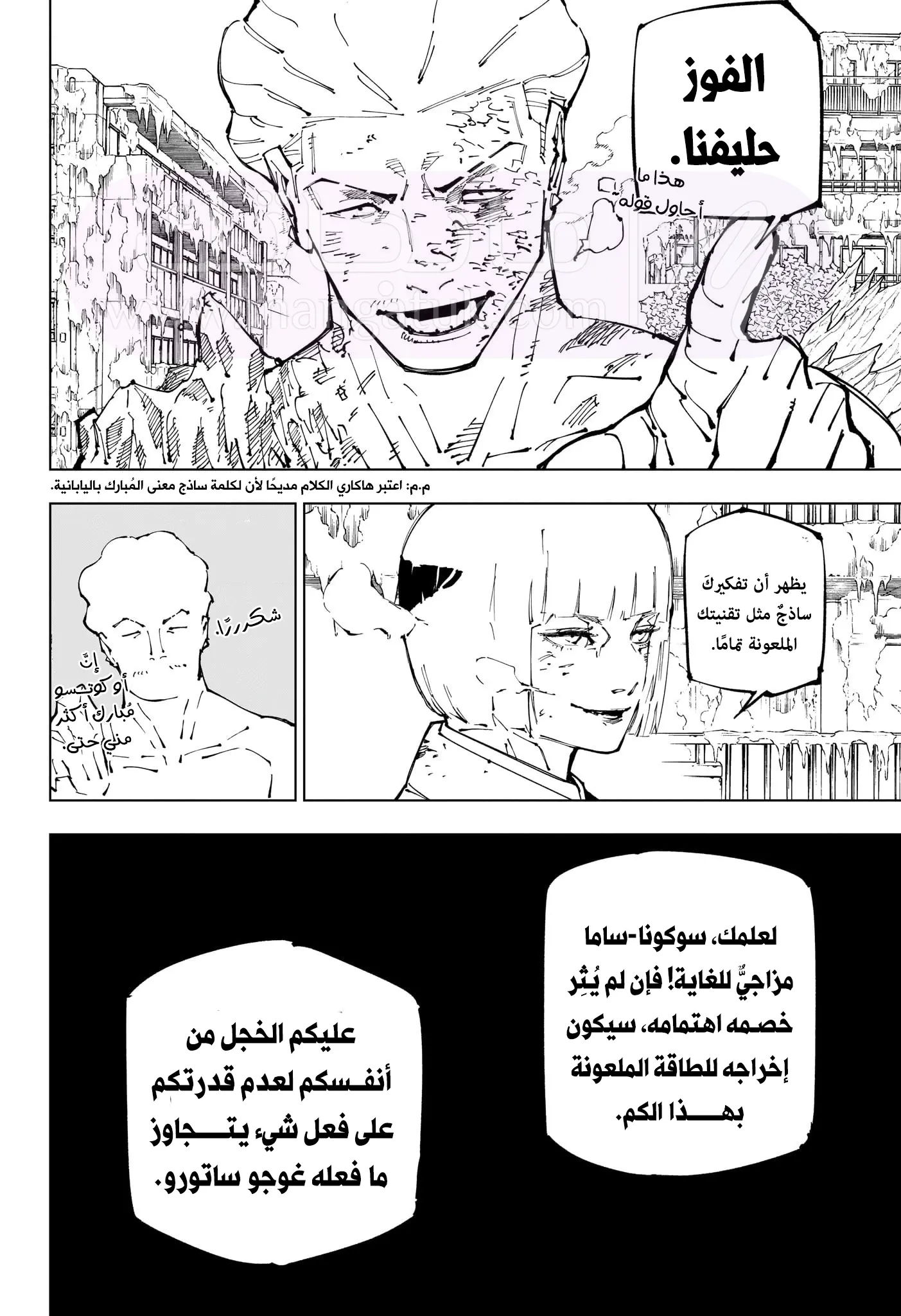 الصفحة 17