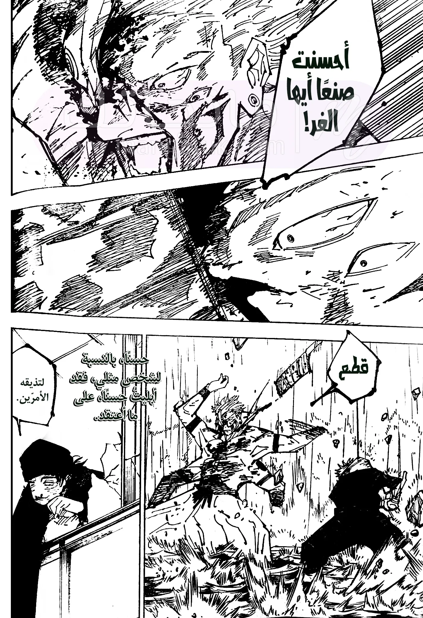 الصفحة 17