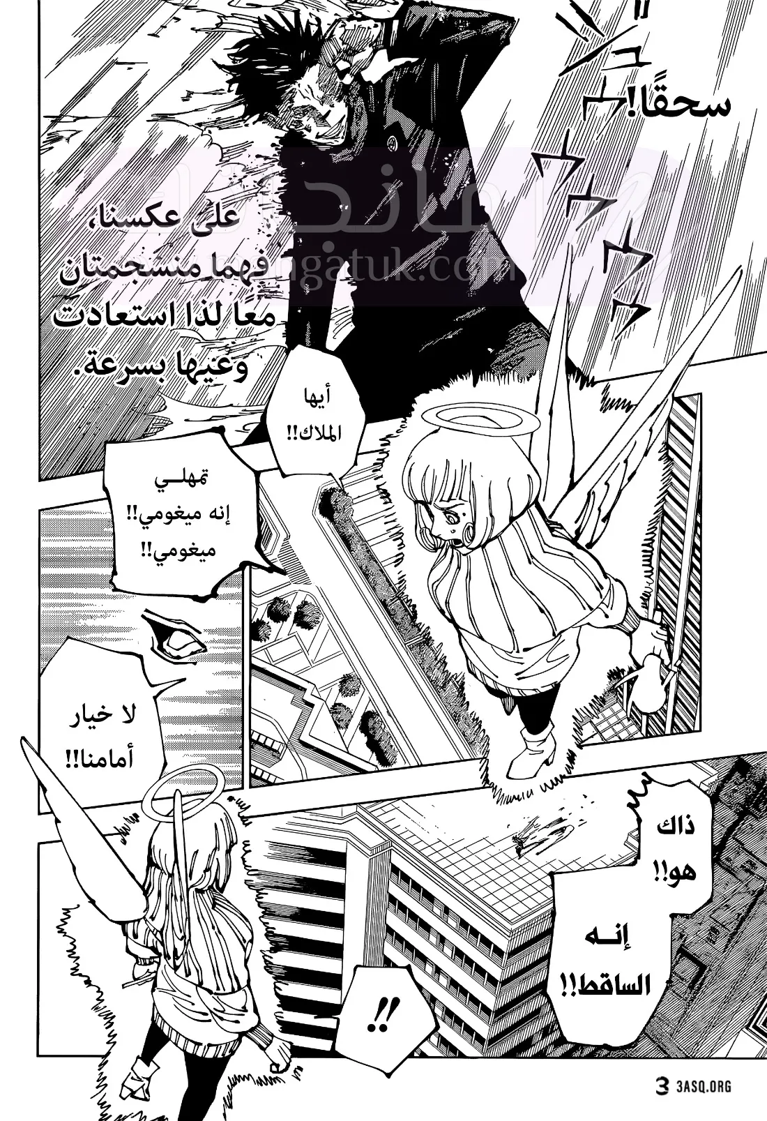 الصفحة 11