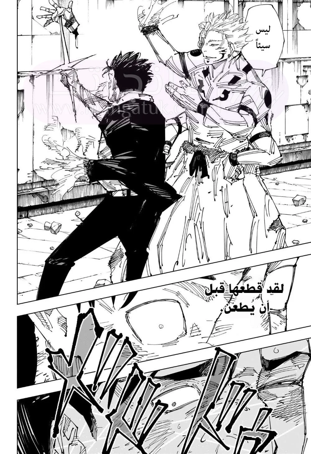 الصفحة 16