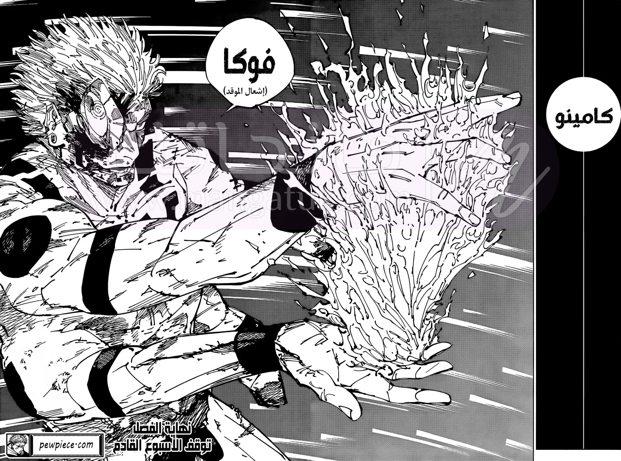 الصفحة 15