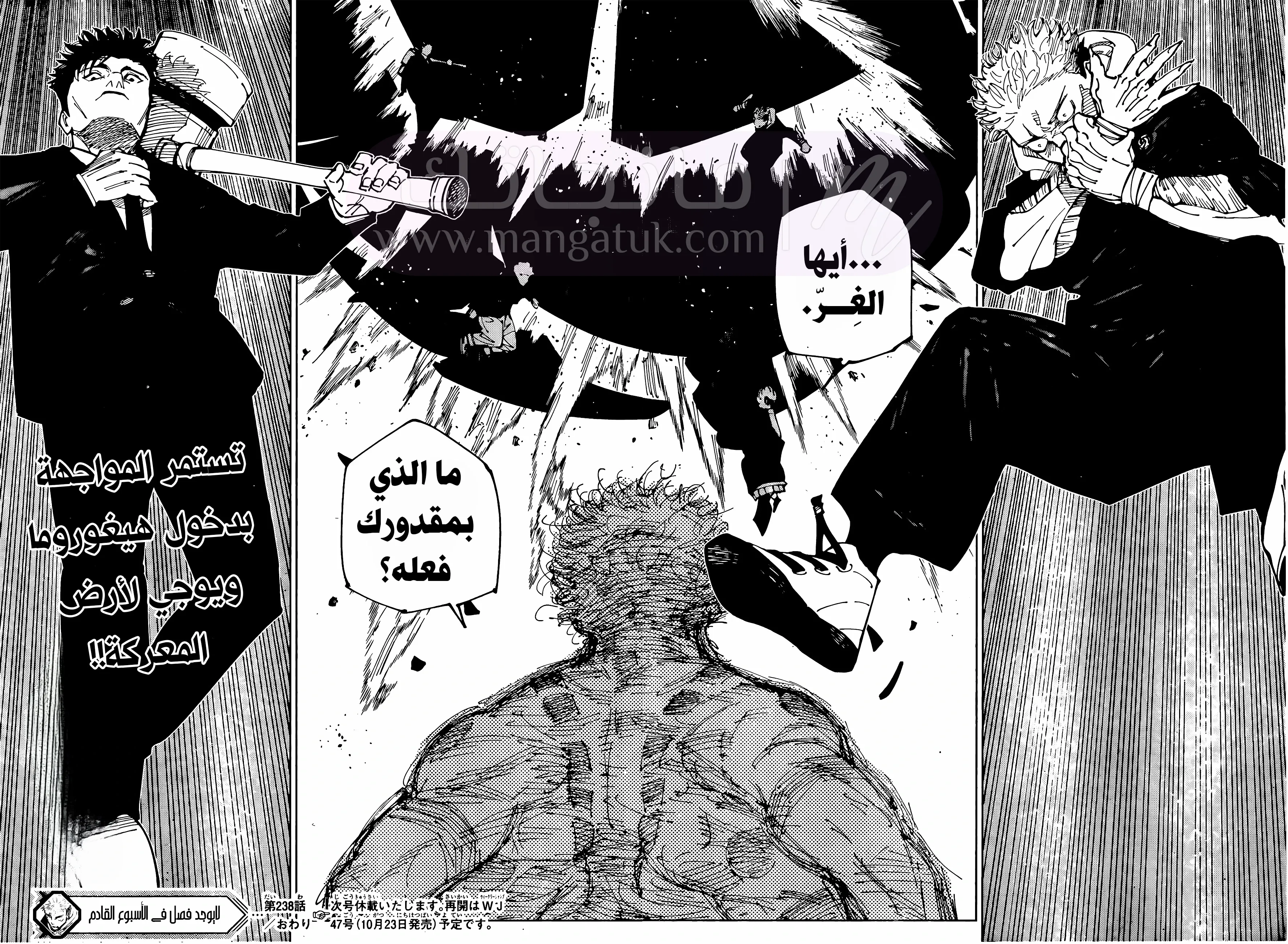الصفحة 17