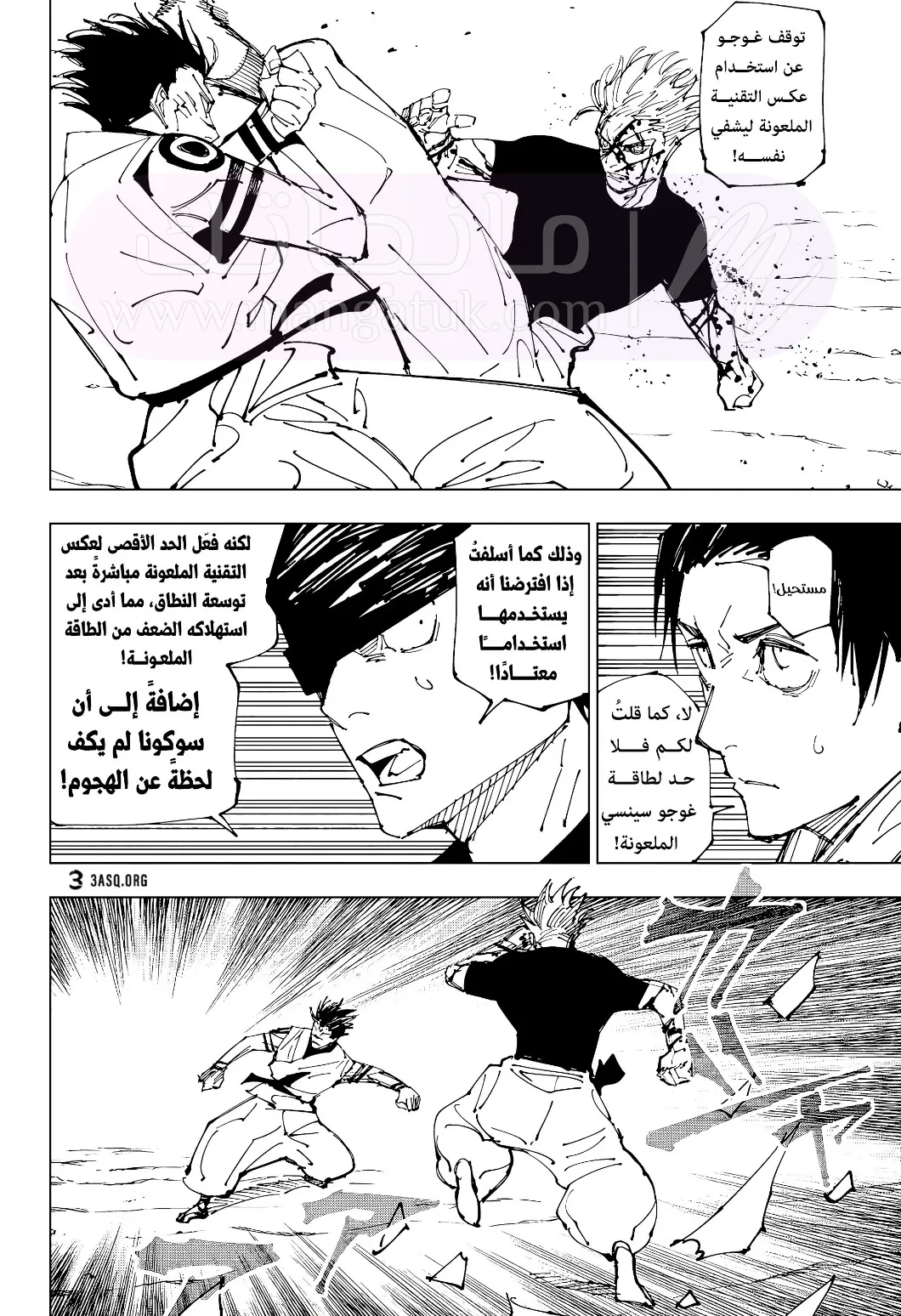 الصفحة 13