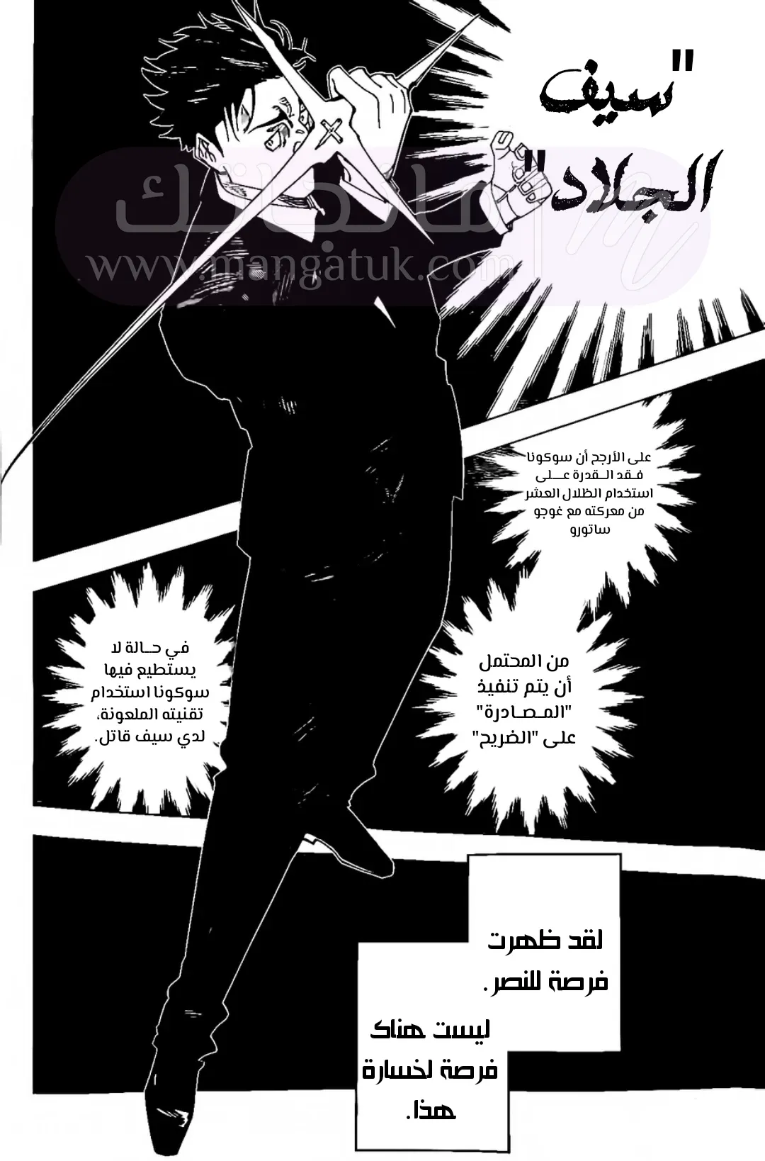الصفحة 17