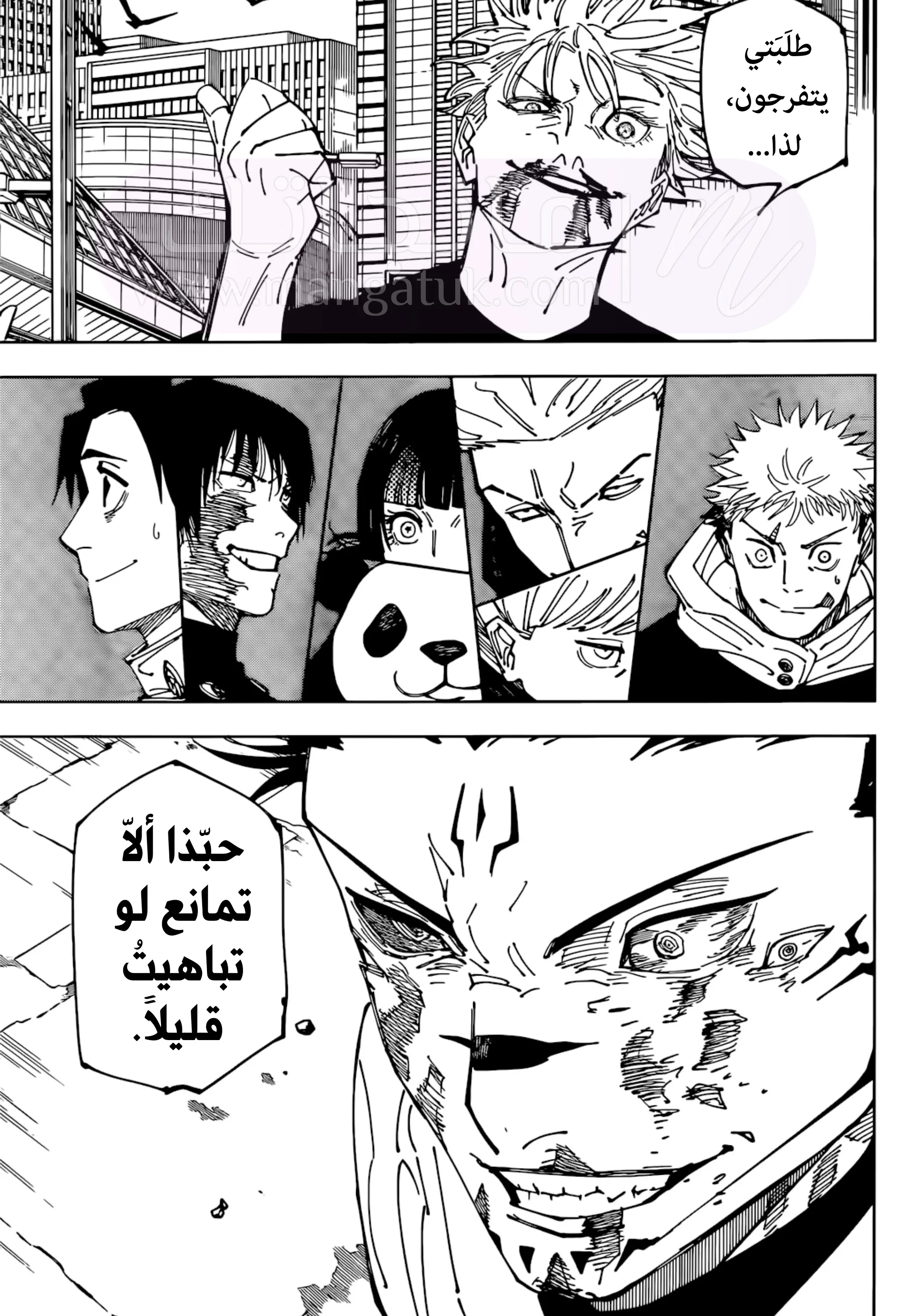 الصفحة 17