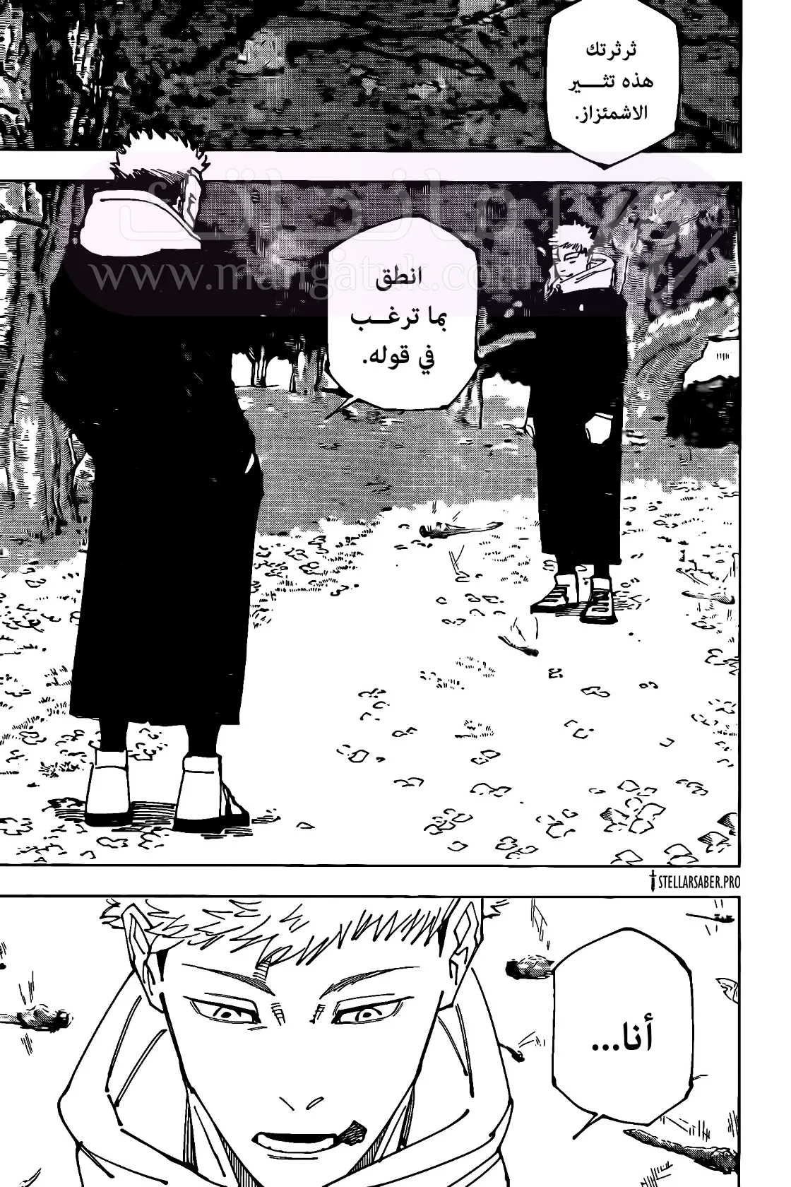 الصفحة 12
